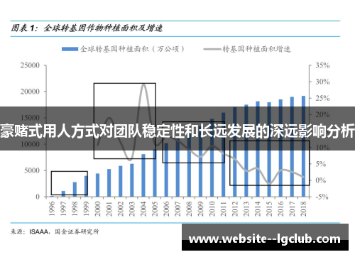豪赌式用人方式对团队稳定性和长远发展的深远影响分析
