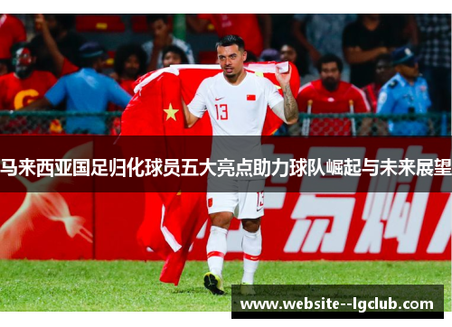 马来西亚国足归化球员五大亮点助力球队崛起与未来展望